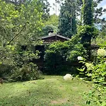 Casa Dentro Do Horto Florestal