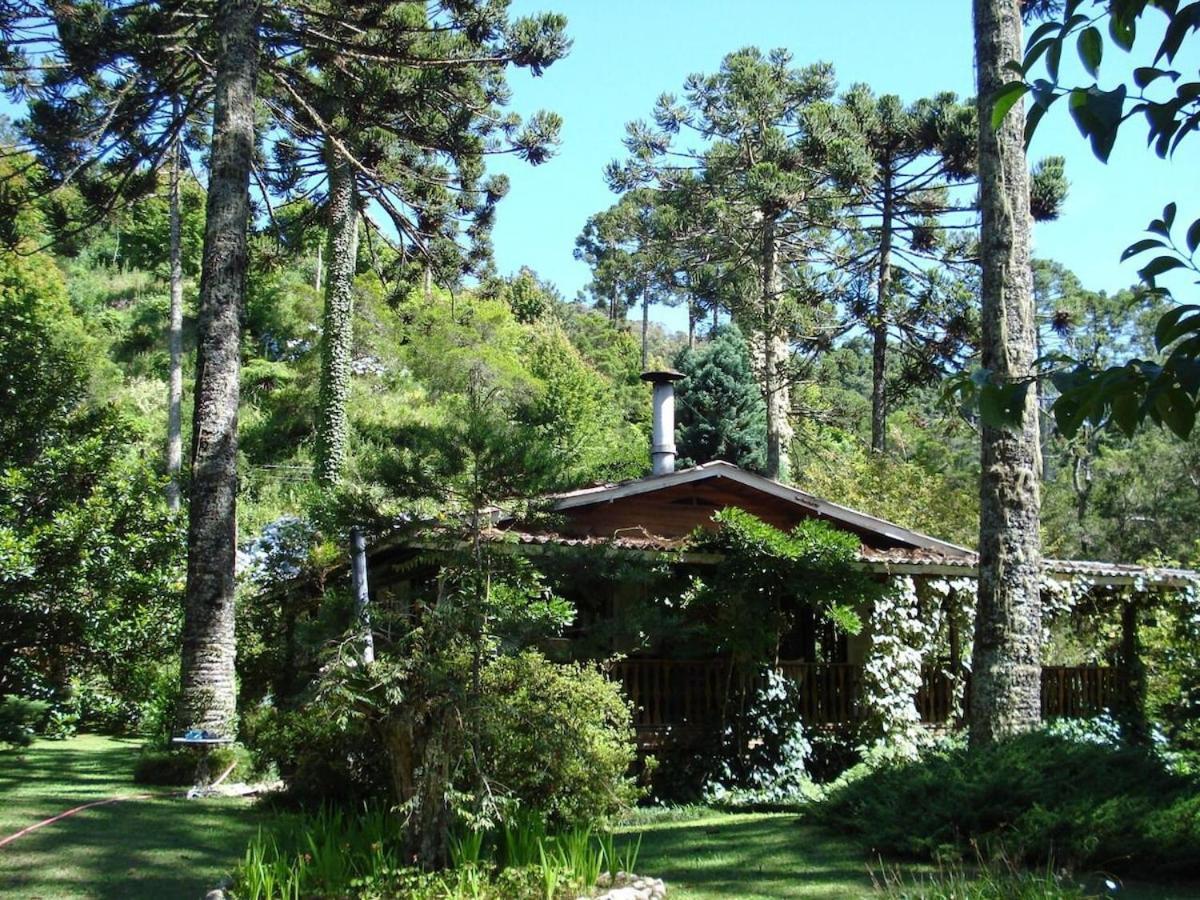 Casa Dentro Do Horto Florestal